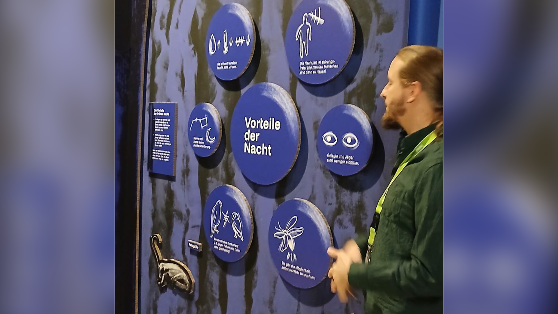 Die 2FWA besuchte Anfang Dezember die faszinierende Ausstellung „Tiere der Nacht" im Landesmuseum Niederösterreich in St. Pölten. Die Ausstellung zeigt die verborgene Welt der nachtaktiven Tiere. Zu sehen waren unter anderem Präparate von Eulen, Fledermäusen, Füchsen und Siebenschläfern, aber auch Informationen über Nachtfalter, Spinnen, Glühwürmchen und Frösche. Besonders spannend waren die interaktiven Stationen, die erklärten, wie sich nachtaktive Tiere an das Leben in der Dunkelheit angepasst haben. Wir