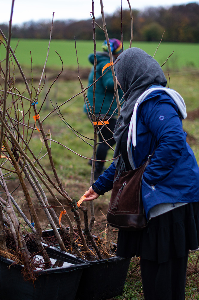 Religionslehrerin Derya Öztürk Bibars bei der Obstbaumpflanzung