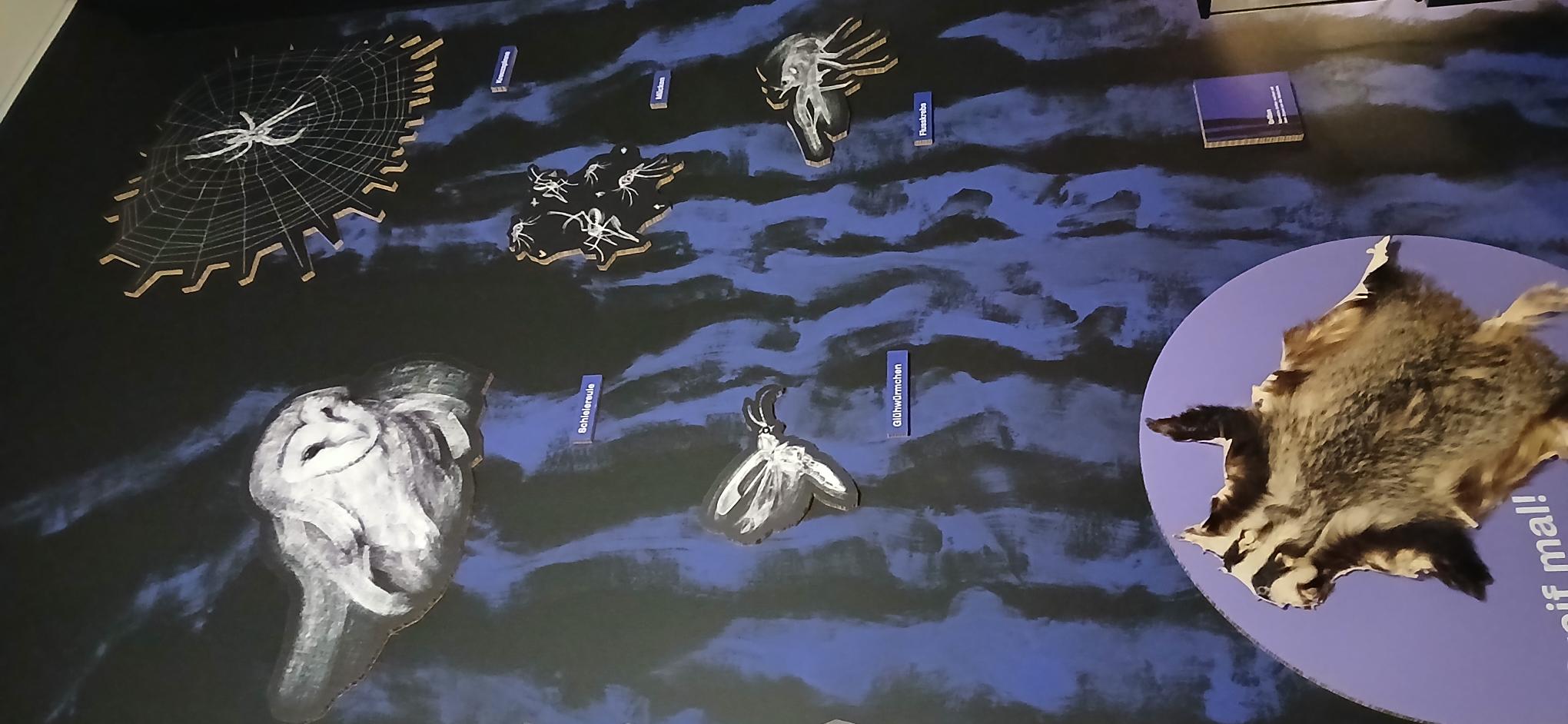 Die 2FWA besuchte Anfang Dezember die faszinierende Ausstellung „Tiere der Nacht" im Landesmuseum Niederösterreich in St. Pölten. Die Ausstellung zeigt die verborgene Welt der nachtaktiven Tiere. Zu sehen waren unter anderem Präparate von Eulen, Fledermäusen, Füchsen und Siebenschläfern, aber auch Informationen über Nachtfalter, Spinnen, Glühwürmchen und Frösche. Besonders spannend waren die interaktiven Stationen, die erklärten, wie sich nachtaktive Tiere an das Leben in der Dunkelheit angepasst haben. Wir lernten, dass Fledermäuse sich mittels Echoortung orientieren, Nachtfalter im Dunkeln Farben sehen können und viele Tiere hochsensible Tasthaare besitzen, um Vibrationen wahrzunehmen. Auch die Vorteile des nächtlichen Lebens – weniger Konkurrenz um Nahrung, Schutz vor Fressfeinden und kühlere Temperaturen – wurden anschaulich erklärt. Die multimediale Gestaltung mit beleuchteten Infosäulen und großformatigen Darstellungen machte die Ausstellung besonders eindrucksvoll. Ein Guide führte uns durch die verschiedenen Stationen und beantwortete unsere Fragen. Wir danken dem Landesmuseum Niederösterreich für diesen lehrreichen und spannenden Einblick in die faszinierende Welt der Nachttiere!