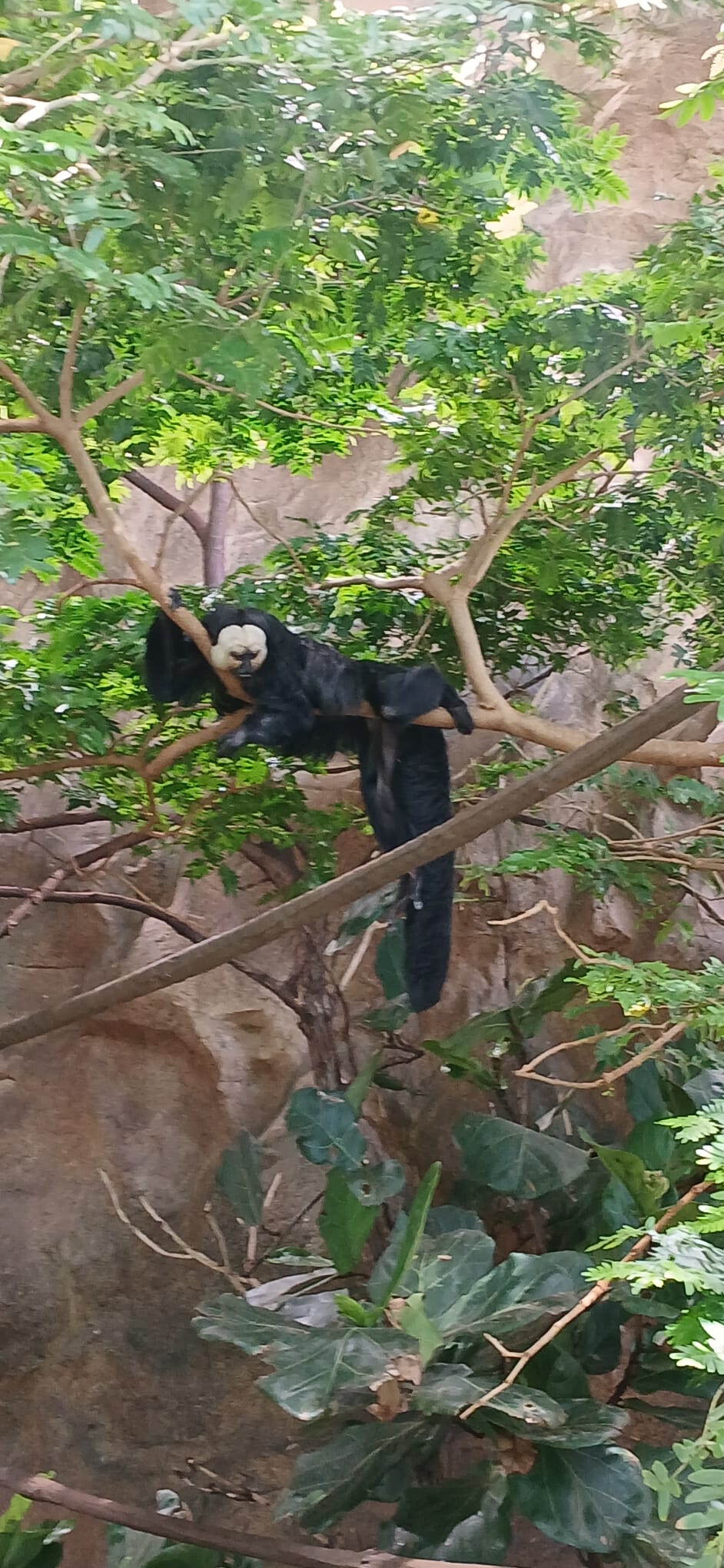 Schulausflug ins Haus des Meeres