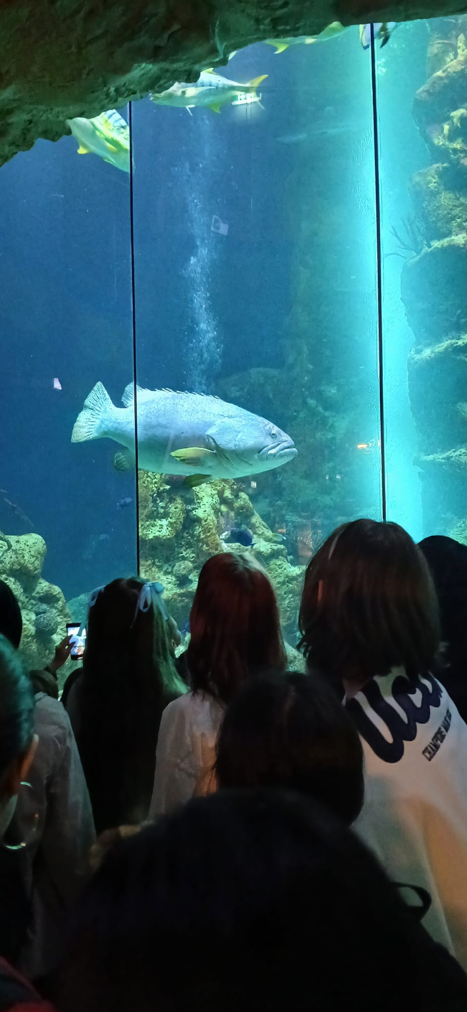 Schulausflug ins Haus des Meeres