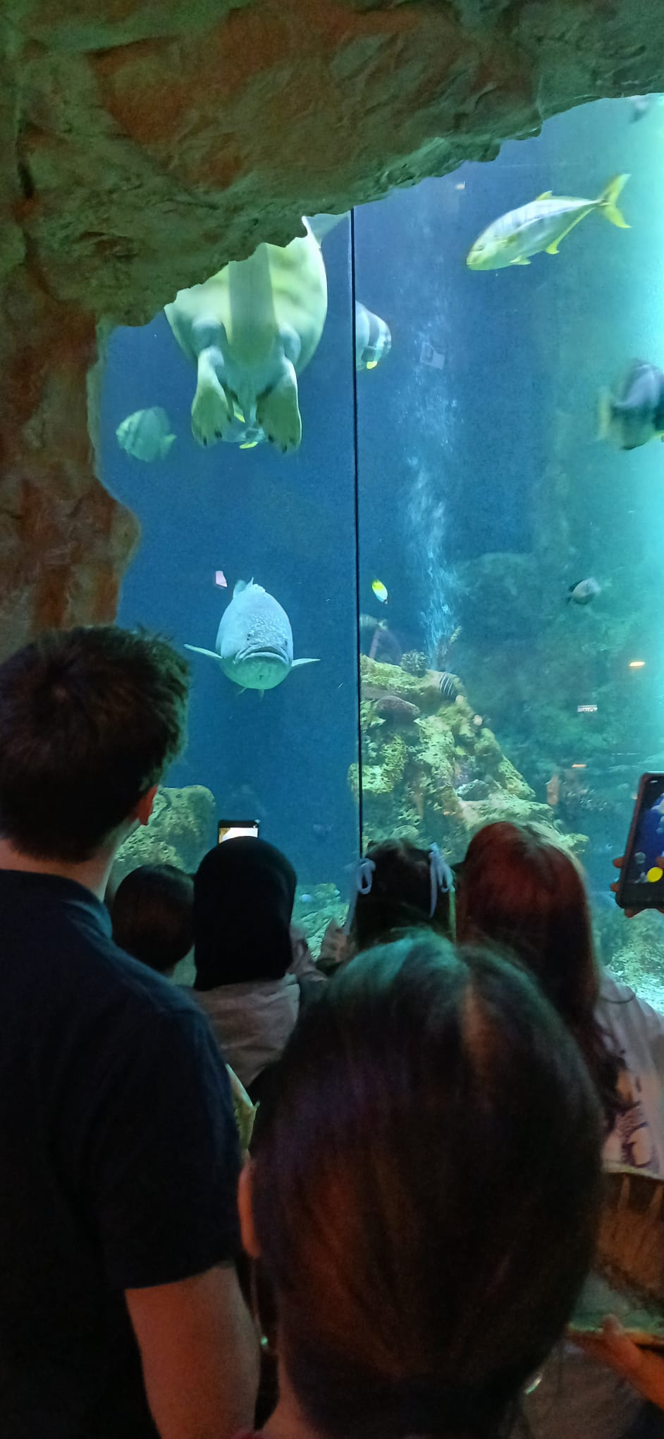 Schulausflug ins Haus des Meeres