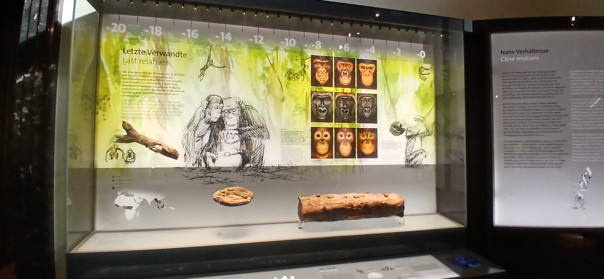Ausflug ins Naturhistorische Museum Wien