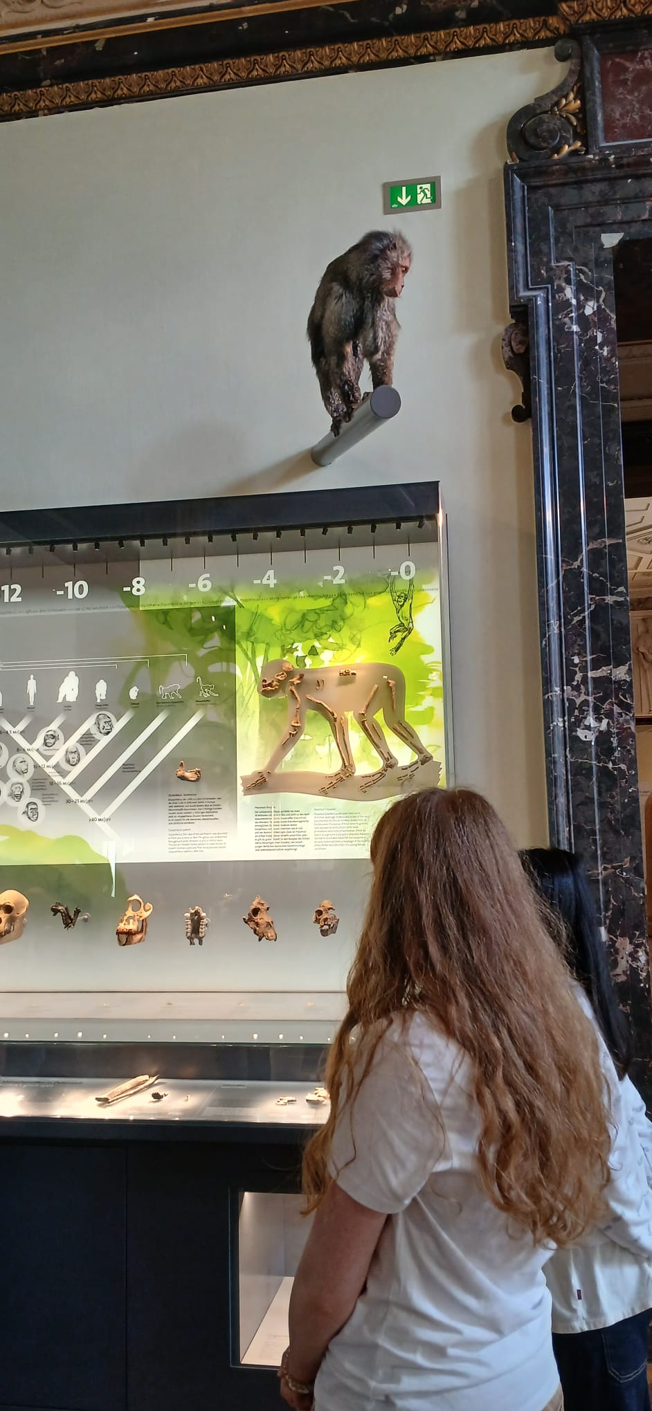 Ausflug ins Naturhistorische Museum Wien
