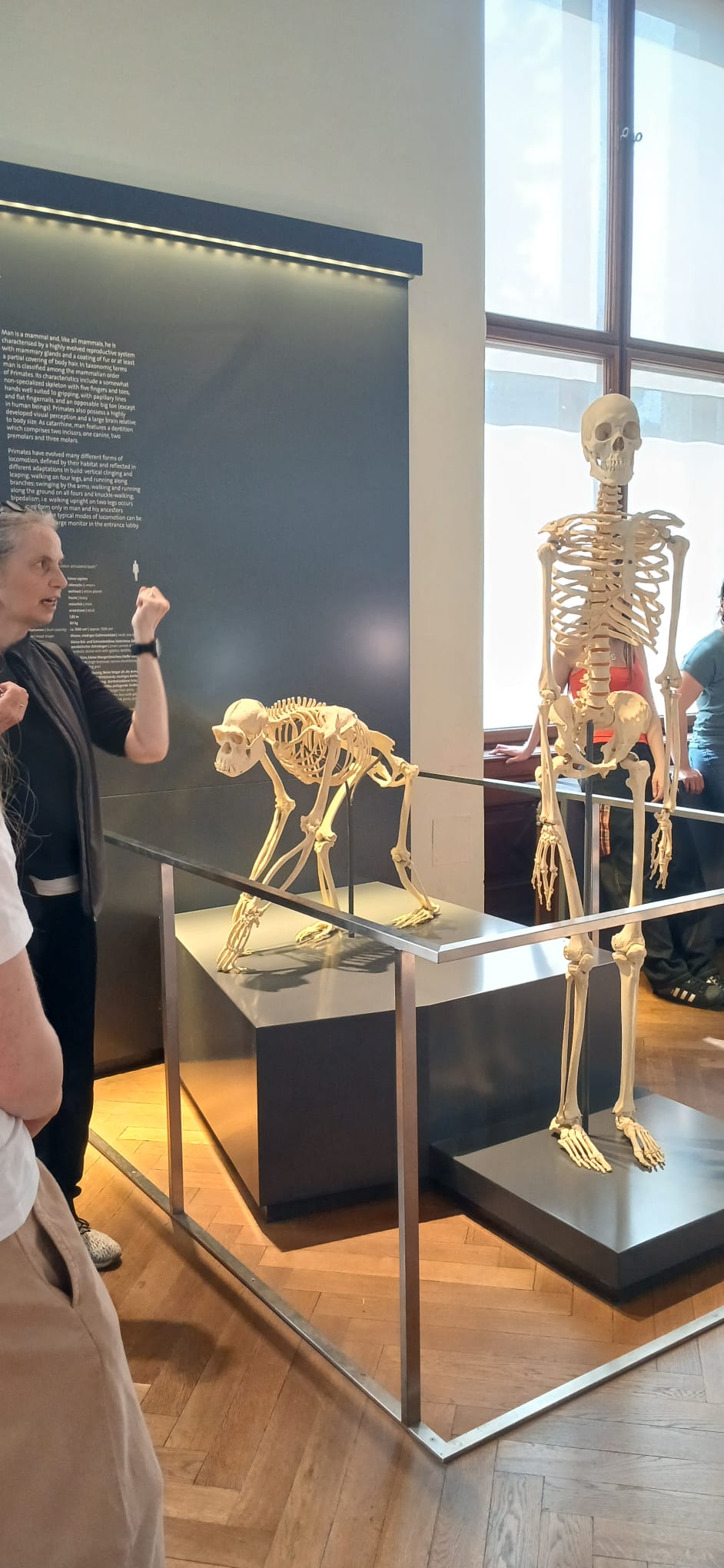 Ausflug ins Naturhistorische Museum Wien