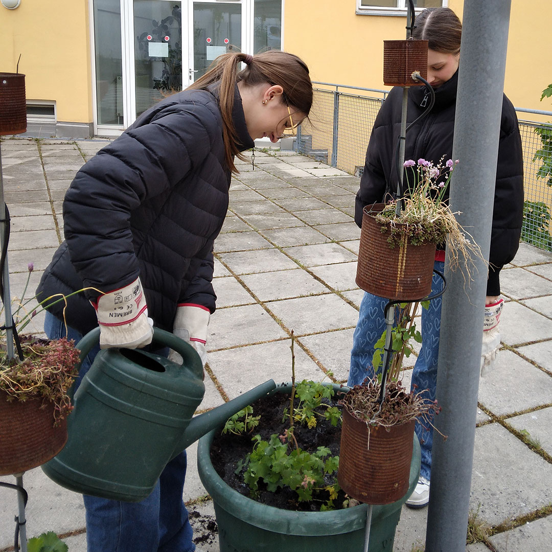 Projekt Grüne Schule: klimaangepasste Pflanzen auf dem Rooftopclassroom