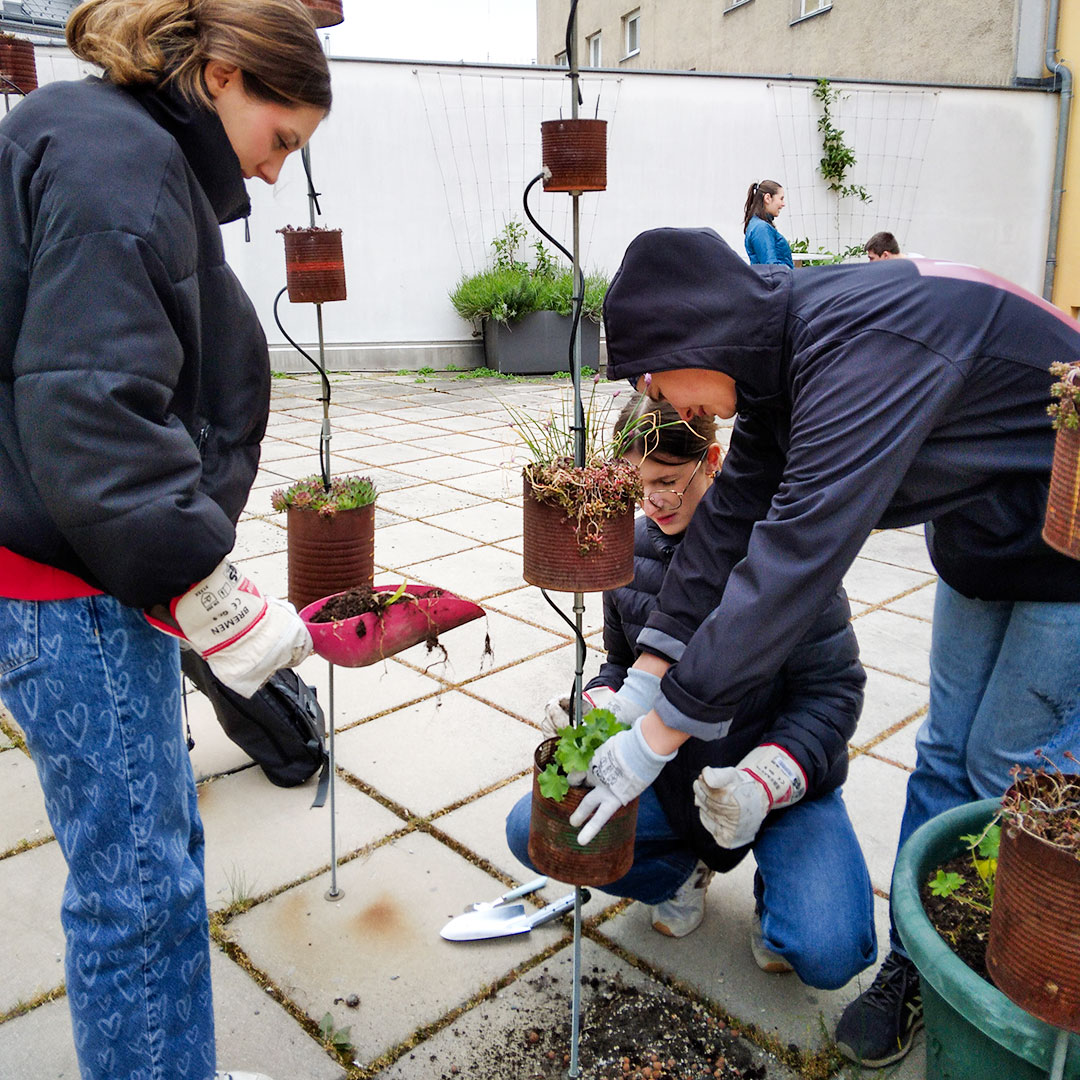 Projekt Grüne Schule: klimaangepasste Pflanzen auf dem Rooftopclassroom