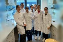 Laborpraktikum an der TU Wien, 20./23. Februar 2026