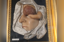 Ausflug ins Josephinum Wien